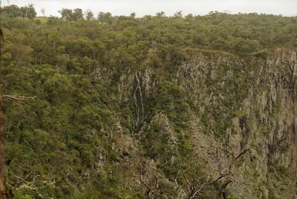 Wollomombi Falls (13)